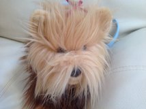 Yorkie puppy purse in Bellaire, Texas